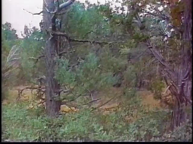 Randy gay stepbrothers suck cocks and fuck asses and jerk off afterwards in forest