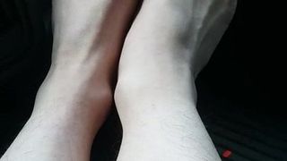 Dedos de los pies mariquita púrpura