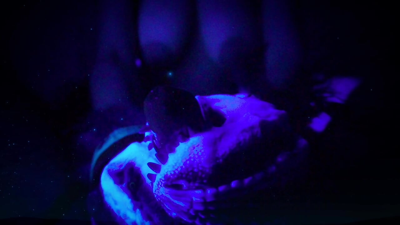 RITUEL SEXUEL INVISIBLE D’UNE AUTRE DIMENSION ! LES DINOSAURES LÈCHENT UNE BITE ET LA FONT JOUIR !