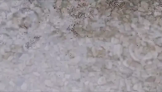 Mastürbasyon, Parmaklama, Dildo Emme Ve Bu Cadılar Bayramında Çıplak Duş 25 Içine Boşalma