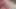 Çok günaydın, Woody