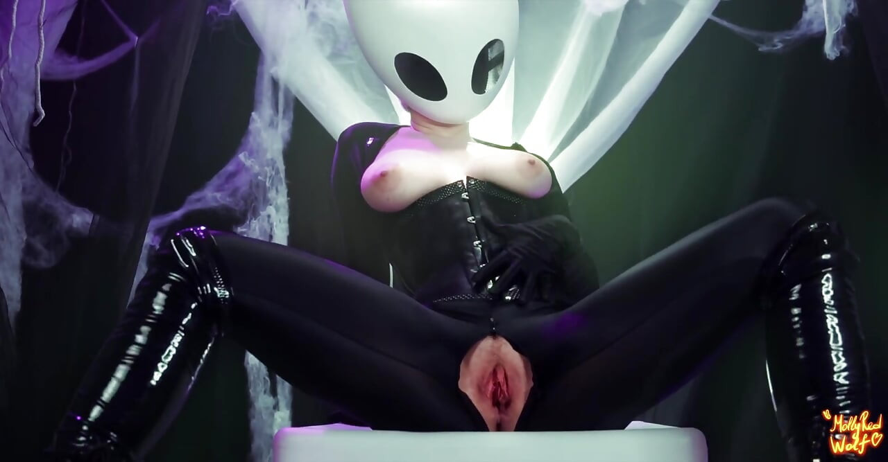 Hollow Knight. Schwert nein, großer heißer schwanz ja - mollyredWolf