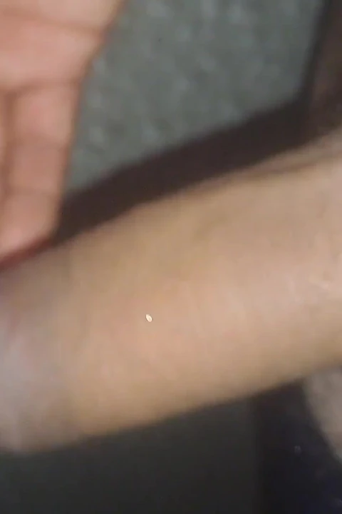 Desi Cock