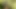 Pussy masturbation beautiful brunette MILF on wild beach by lake outdoors. Nude beach. Fingering wet pussy orgasm squirt