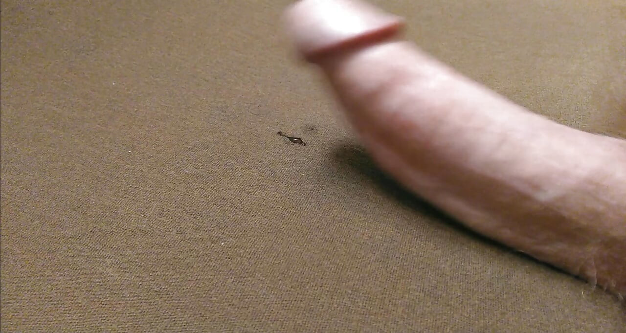 Dry Humping Dry Fucking Massive Up Close Cum Shot Going Along With Female Porn Riding Dildo