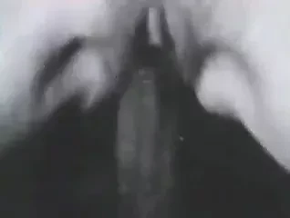大约 60 年代的经典跨人种