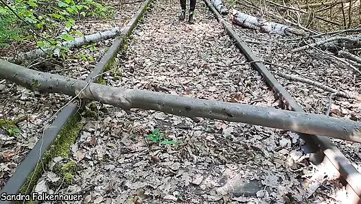The Old Railway