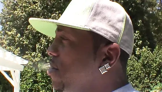 The Fox Eats It All (part 2)