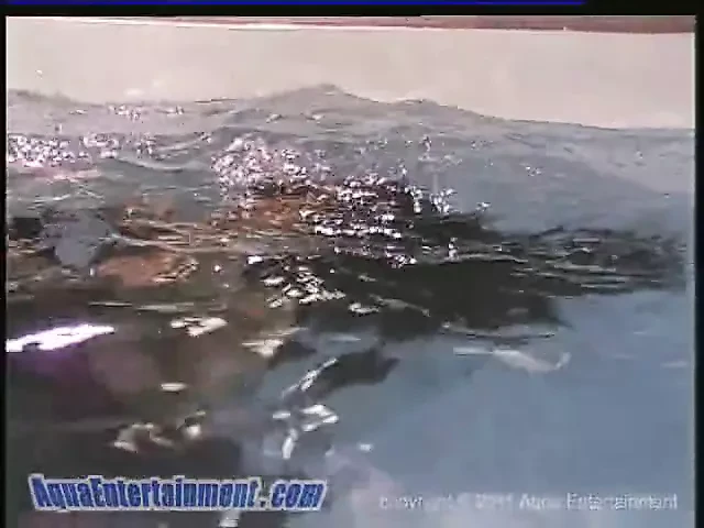 水下 5687
