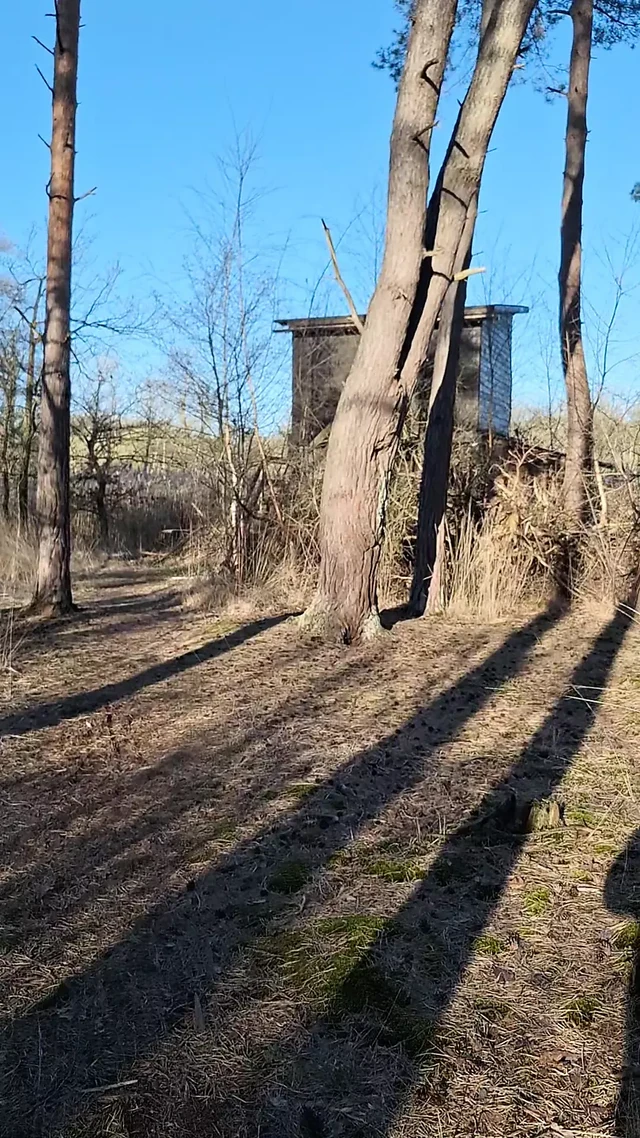 Having fun outdoor again