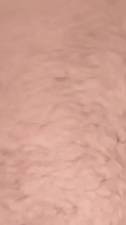 大男が仕事をこなす。|クリップ2