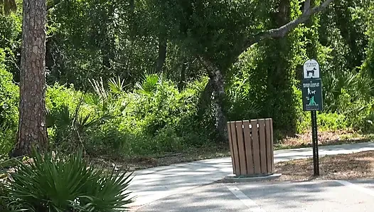 Full Day Video