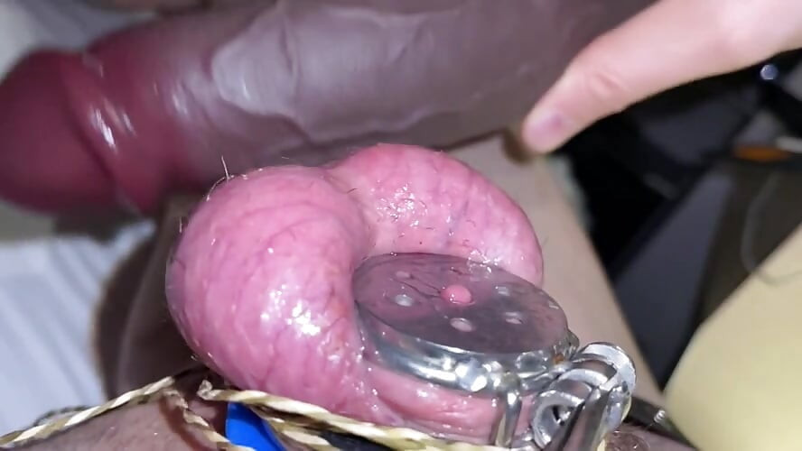 Sedy Ladyboy does a Thousand Ball Plappies while gooning for the BNWO