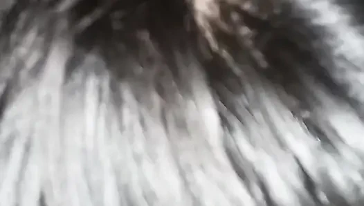 Samael masukin kontolnya ke dalam memek eva