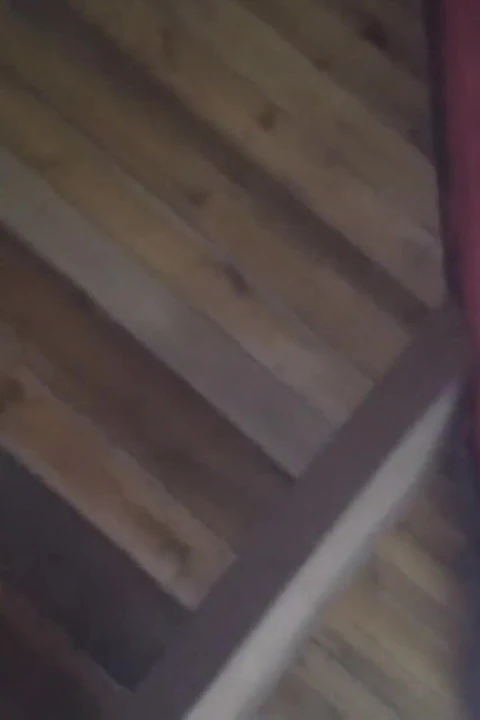 家庭雇员骑乘她老板的鸡巴