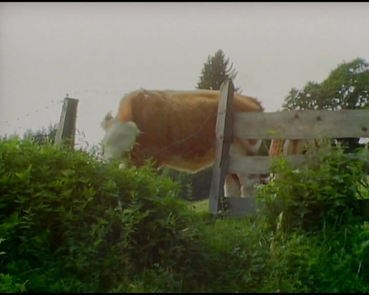 Βυζαρού Γερμανίδα απολαμβάνει εκπληκτικό πρωκτικό όργιο σε εξωτερικό χώρο