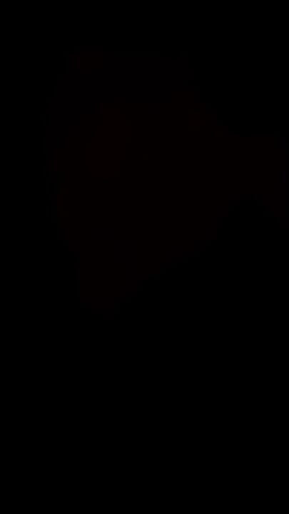 I Let the Succubus Demoness Take Everything I Have - DOTA 2 Queen of Pain Animation