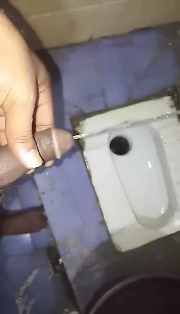Indian bear