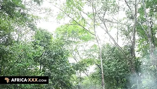 Сексуальная встреча в джунглях