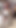 小柄な可愛いイザベラがキッチンでおもちゃを抱く