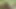 FRIEND I CAUGHT IT IN THE FOREST AND I PUT MY COCK VERY HARD GIVING A SIP INSIDE MY ASS