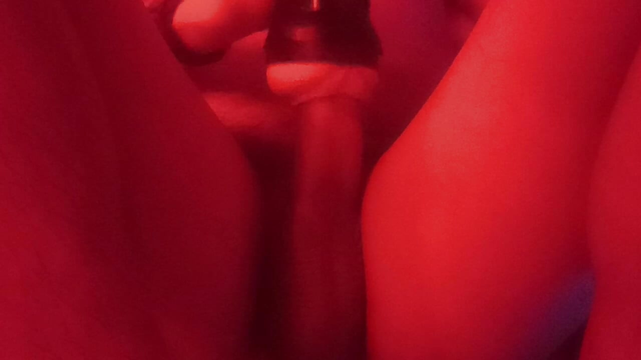 calentar mi leche día 1579