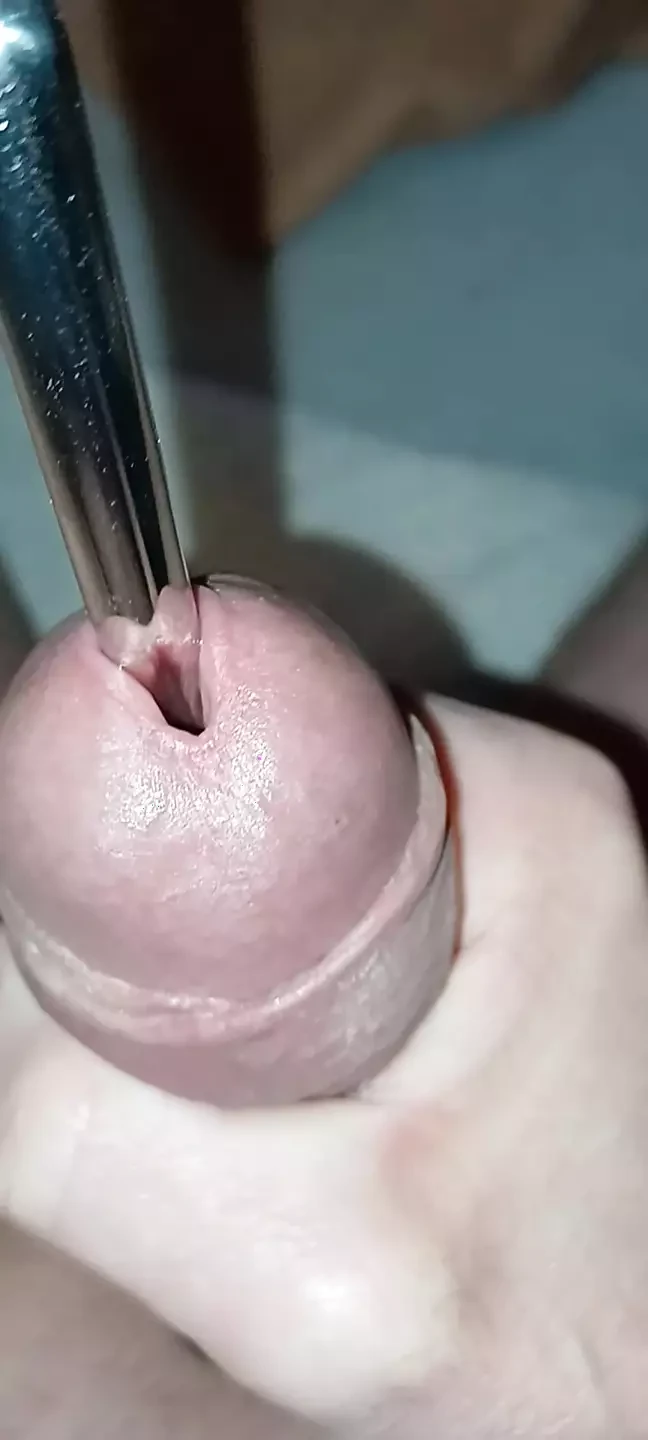 Sondierung