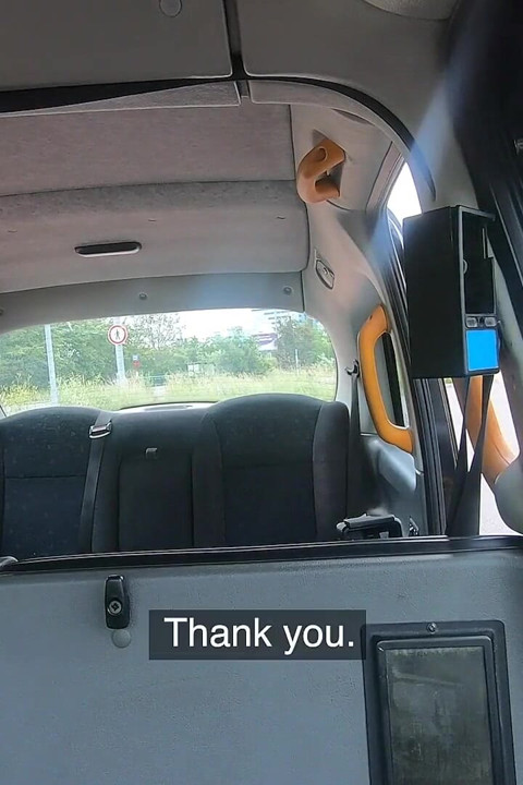 Fake Taxi - Big Tit MILF Redhead in the Red Dress Isabella Lui Loves Roadhead