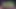 Orci jebu vruću ženu - Nyatorase - Dijeljenje porno igre