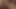 Gay Porn ( New Venyveras )