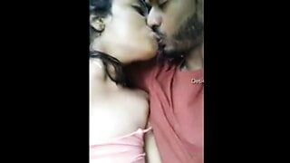Une desi indienne sexy se fait baiser dans une voiture