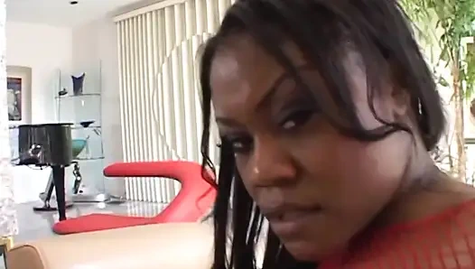 Interracial-wahnsinn vol.1