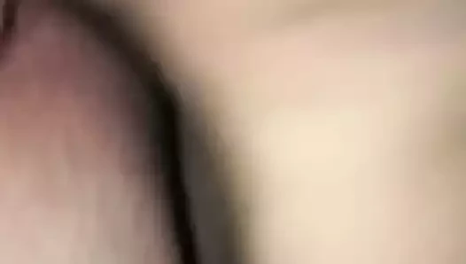 evli ayı alır dick
