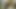 Geçmişte beyaz kadınlar ve siyah erkekler