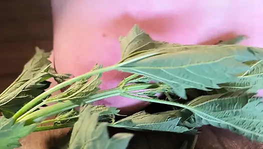 Toket bugil di balik jelatang - lalu pukul habis-habisan