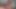 Wife Cucks Husband with a Big Black Cock Creampie and Eats It