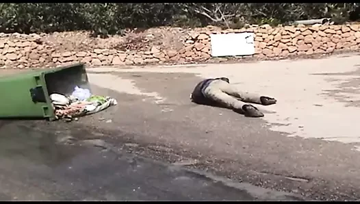 Extreme Activity (Full Movie)