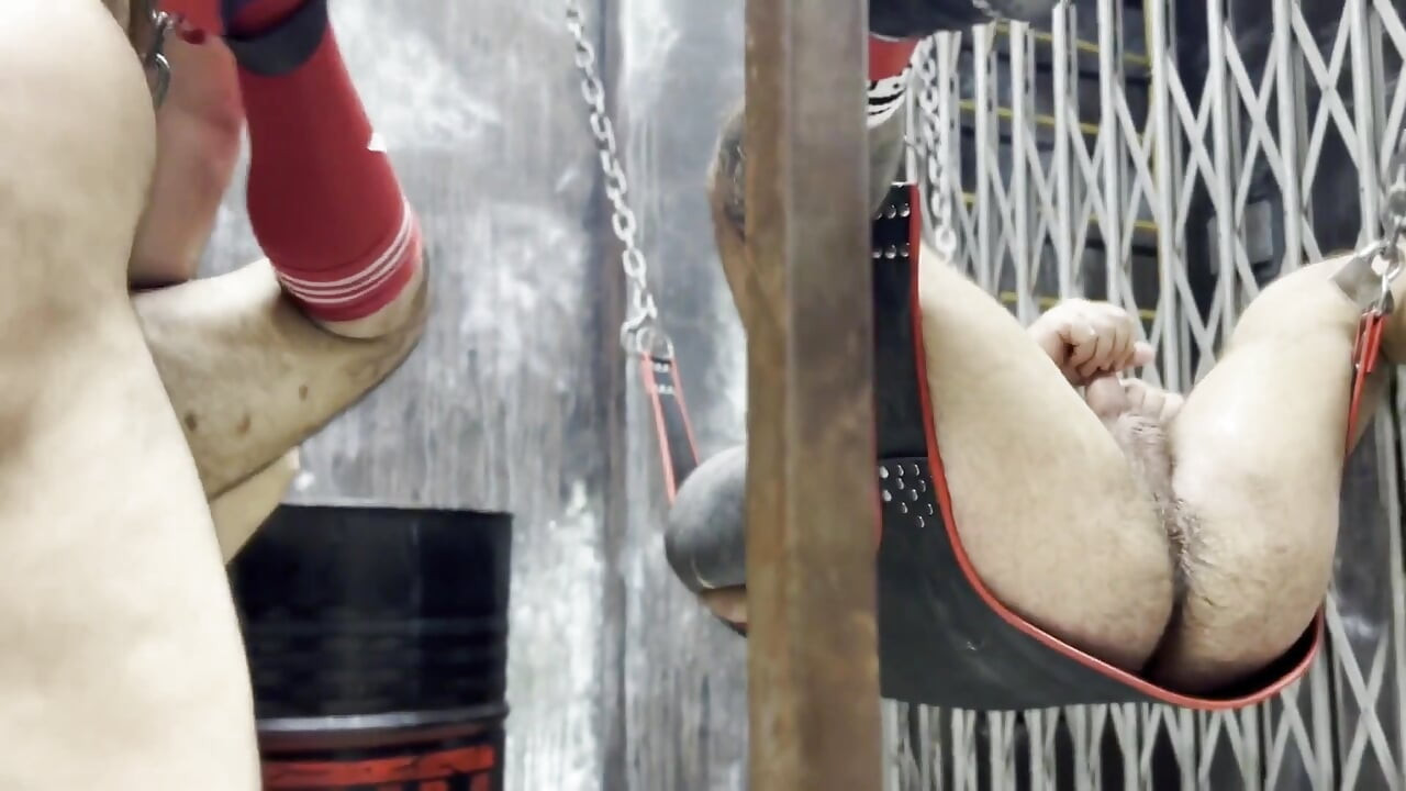 Những chú gấu hư hỏng tại trực tràng