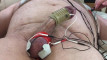Pregled videozapisa