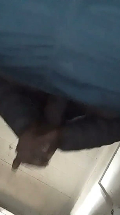 Desi boy masturbating standing in public bathroom | Clip 1