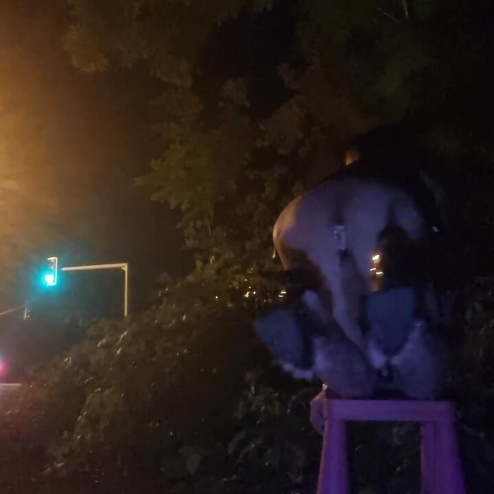 A Whore in a Mini-Skirt Ras du CuL, on the Edge of the🛣Nationale 7 in BRUNOy. 2H00 VaneSsaBiTCHx PariSChienneTrvprod⁹¹