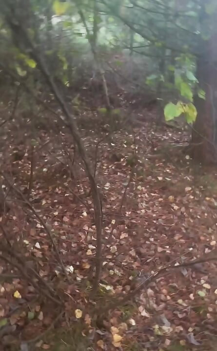 Clothes left in car.  an hour naked walk from car and back in woods barefoot