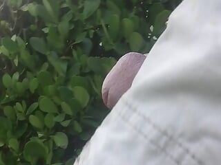 Ein spaziergang draußen mit meinem penis in einer kabelklammer
