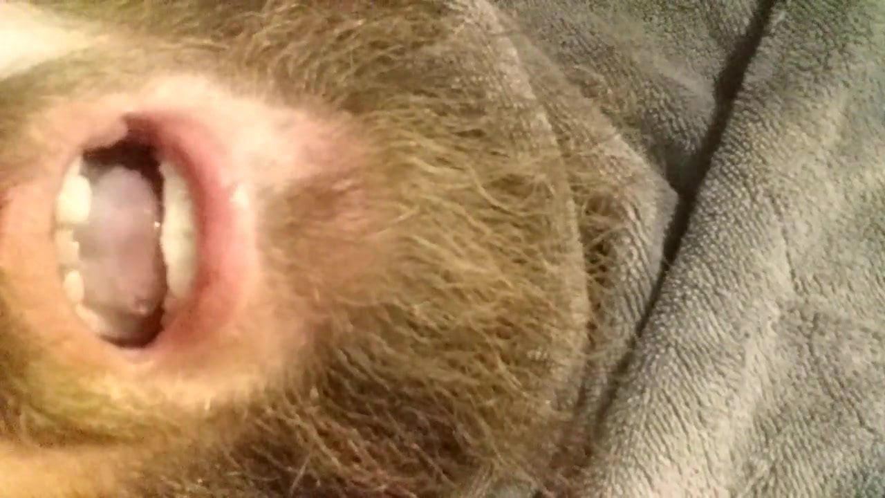 Eating my cum