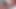 2 azgın orta yaşlı seksi kadın sikiliyor - randevu sitesinde tanıştı