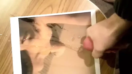 Purrsi için haraç