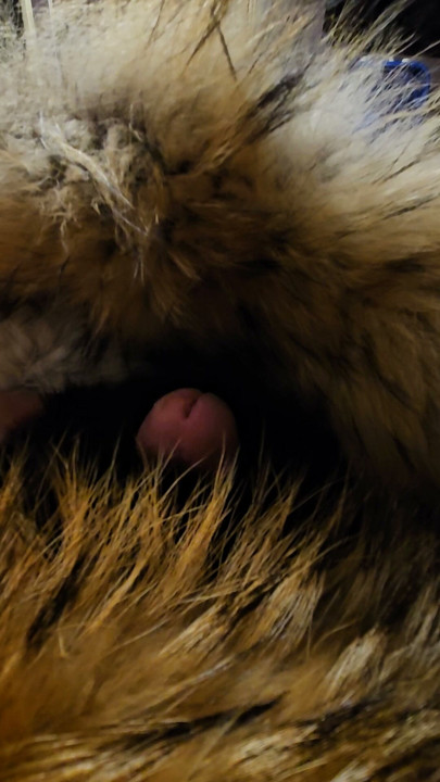 Playing in my furs puffer hood falls on my cock makes me accidentally cum all over it