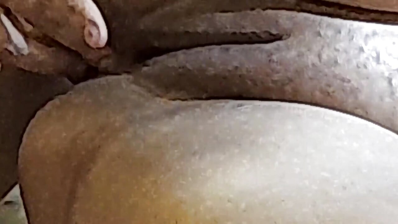 Naughty Brazilian Couple Free Pt 9 - Naughty Little Ant