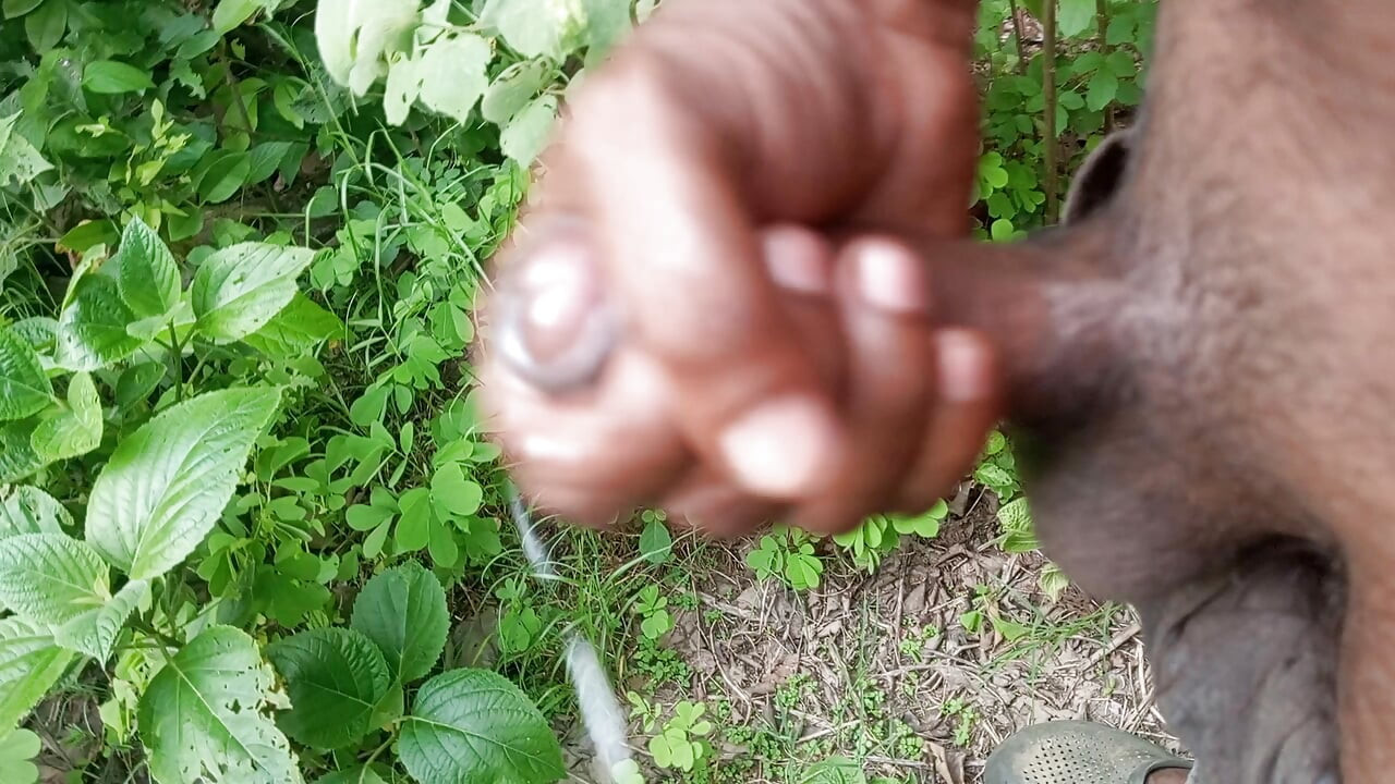 Indian cock stable stamina bbc masturbate