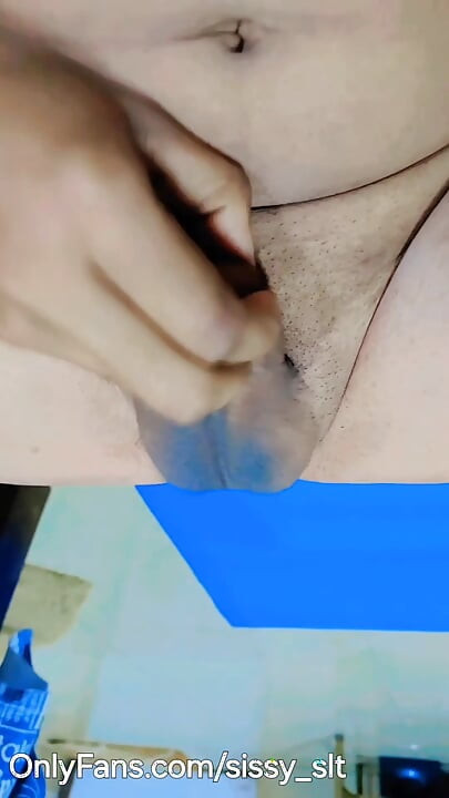 Cute little brown clitty